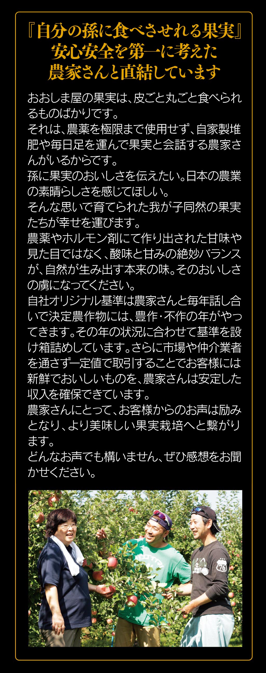 フルーツ 果物 ギフト 詰め合わせ 送料無料 旬果4種類 フルーツ 旬果4種類 潤 じゅん 詰め合せ でこぽん プレゼント 父の日 誕生日 内祝い お供え 健康 ビタミン 大嶌屋 おおしまや Gift