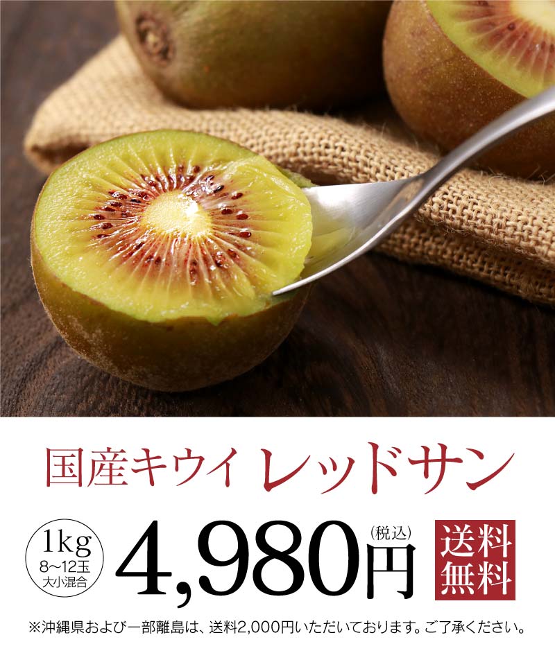 超ポイント祭 期間限定 キウイ様 専用ページ ワンピース Lncci La