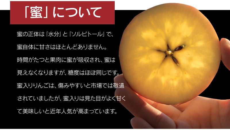 究極の蜜入り 高徳りんご 2kg 約8～12玉 送料無料 青森産 ＜12月上旬