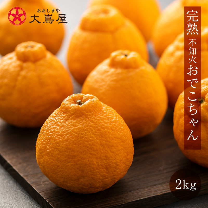 楽天市場】ルビー色の果肉 ファーストクイーン 6玉入り 送料無料 ＜11