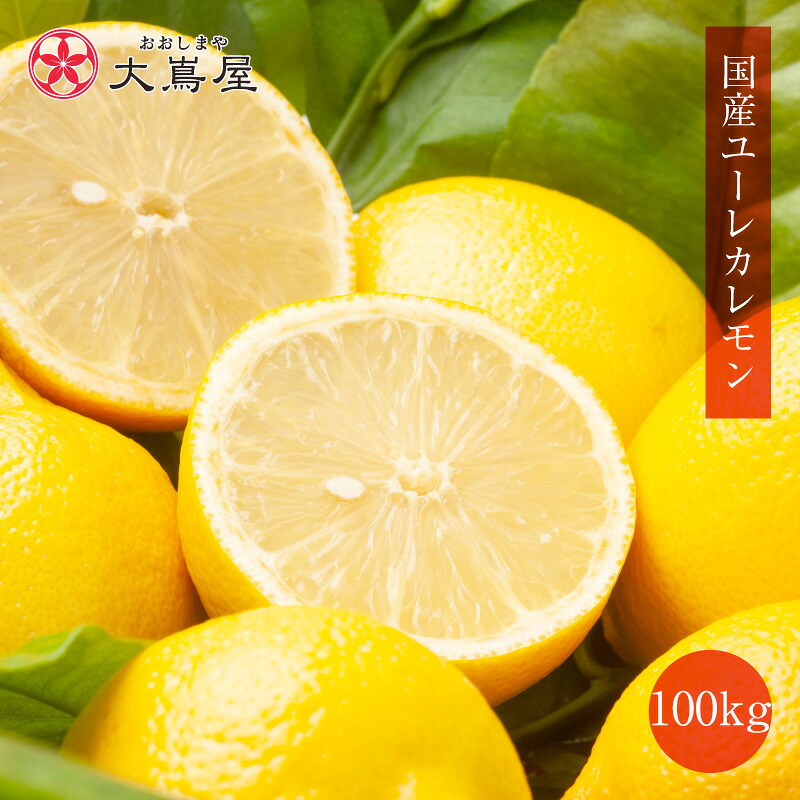 レモン 国産 100kg 送料無料 <10月上旬頃より順次出荷> 減農薬 ノーワックス 防カビ剤不使用 熊本産 ユーレカレモン みかん 果物 フルーツ 農家直送 産地直送|おいしさつなぐ大嶌屋-おおしま屋-