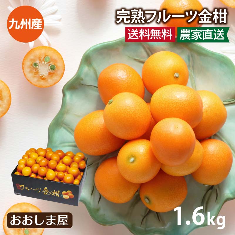楽天市場】みかん 金柑 完熟 フルーツ金柑 800g 送料無料 ＜1月上旬