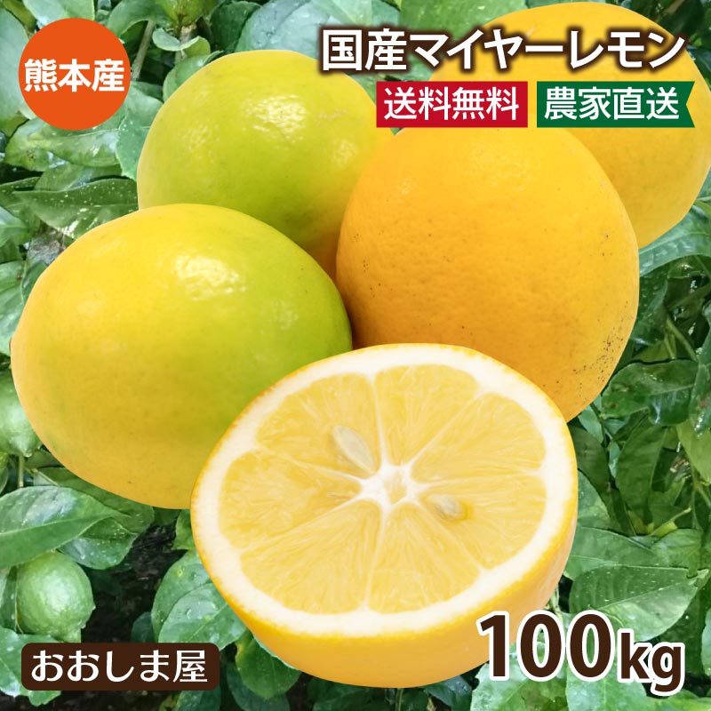 レモン 国産 100kg 送料無料 ＜9月下旬頃より順次出荷＞ 減農薬 ノーワックス 防カビ剤不使用 熊本産 マイヤーレモン メイヤーレモン 国産レモン みかん 果物 フルーツ れもん 檸檬 柑橘 農家直送 産地直送