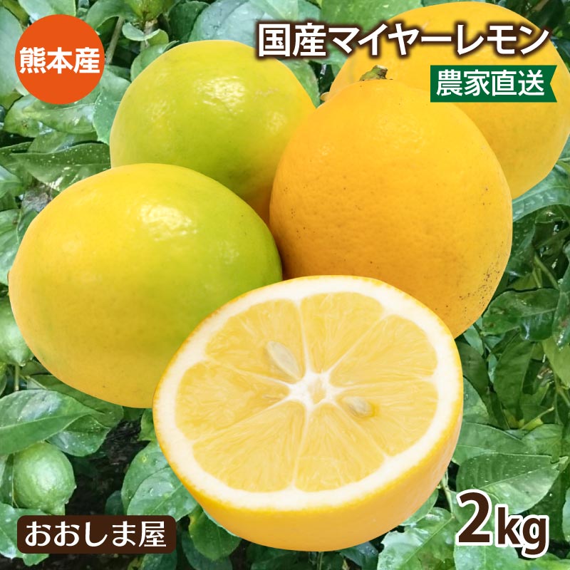 レモン　カリフォルニア産　お値打ち　正規品 レモン 約16kg 95個・115個・140個・165個 カリフォルニア産