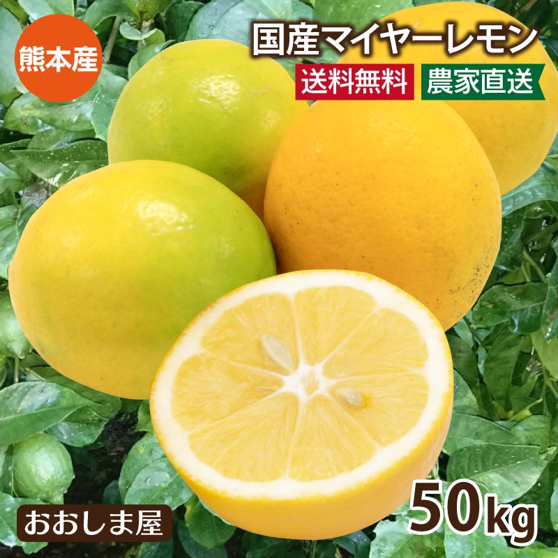 レモン 国産 50kg 送料無料 ＜9月下旬頃より順次出荷＞ 減農薬 ノーワックス  防カビ剤不使用 熊本産 マイヤーレモン メイヤーレモン 国産レモン 果物 フルーツ れもん 檸檬 柑橘  農家直送 産地直送