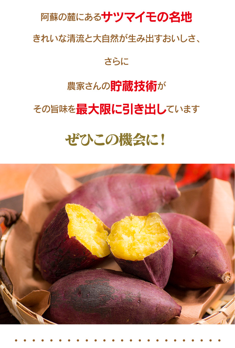 楽天市場 さつまいも シルクスイート 3kg 送料無料 予約 11月下旬より出荷予定 生芋 さつま芋 唐芋 からいも 土付き 泥付き 野菜 旬 料理 レシピ 国産 熊本 大嶌屋 おおしまや おいしさ直送 熊本おおしま屋