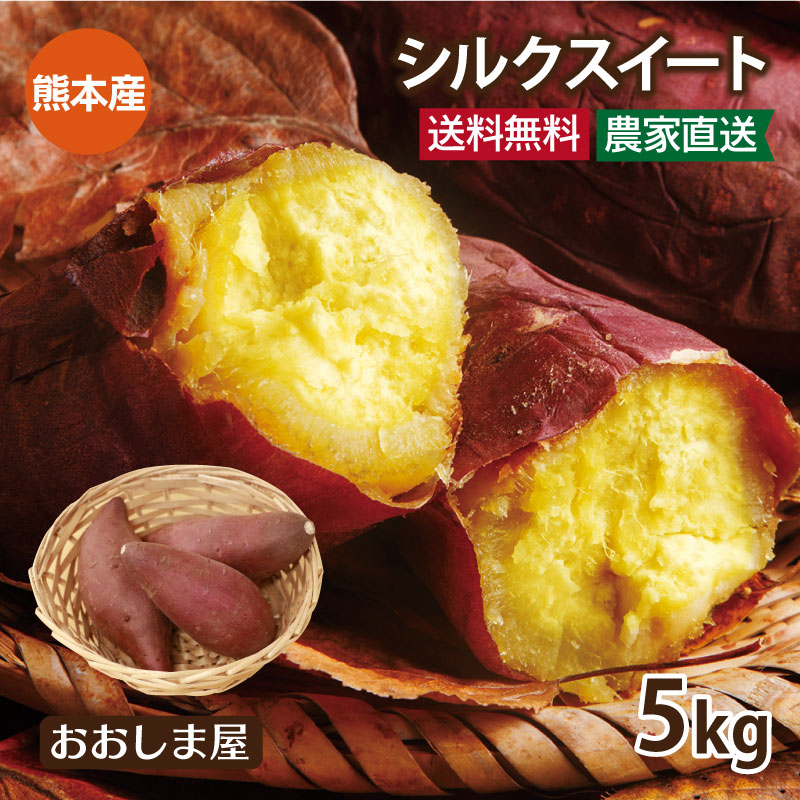 楽天市場 さつまいも シルクスイート 5kg 15 25本 送料無料 生芋 さつま芋 唐芋 からいも 土付き 泥付き 野菜 旬 料理 レシピ 花見 桜 バーベキュー 国産 熊本 大嶌屋 おおしまや Gift おいしさ直送 熊本おおしま屋