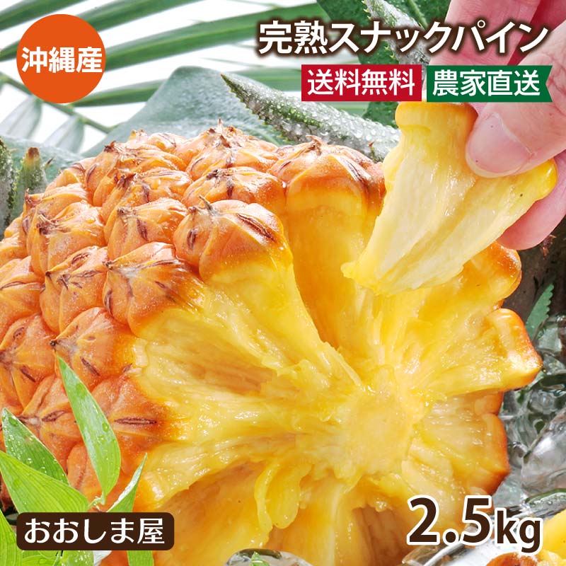 パイナップル 送料無料 沖縄 スナックパイン 2.5kg （約2-9玉入り）＜5月上旬より順次出荷＞ 国産 パイン ボゴールパイン 島パイン 沖縄 石垣島 西表 果物 フルーツ