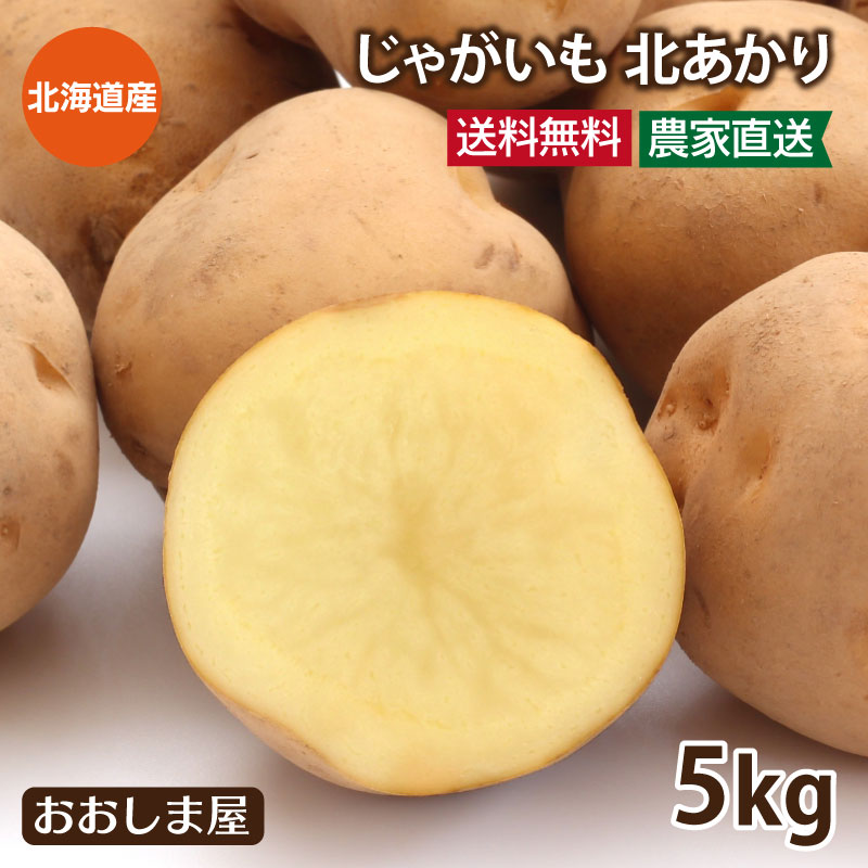 市場 北海道 送料無料 北あかり ジャガイモ 5kg 40玉前後 7月中旬から7月下旬まで出荷予定