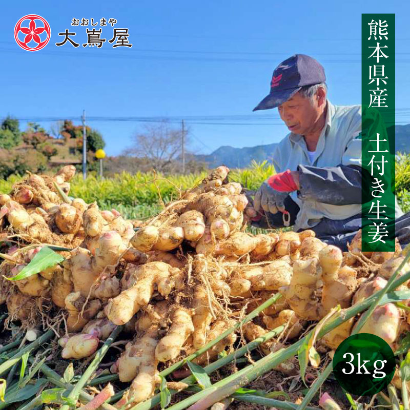 Veg Farm Beet It　千葉県産　三州生姜　種生姜　20kg Veg Farm Beet It様専用 千葉県産 三州生姜 種生姜 20kg（楽天