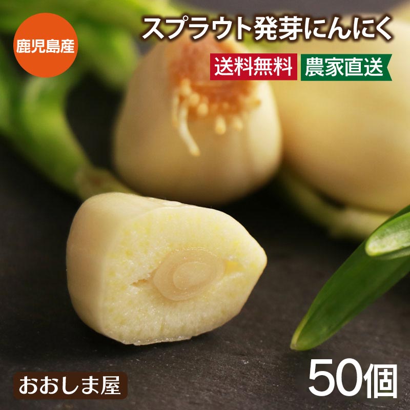 にんにく スプラウトにんにく 50個(10個×5袋) ＜送料無料＞ 鹿児島県霧島産 発芽にんにく 生 ニンニク 発芽ニンニク スプラウトニンニク 野菜 川越農園 農家直送 大嶌屋（おおしまや）