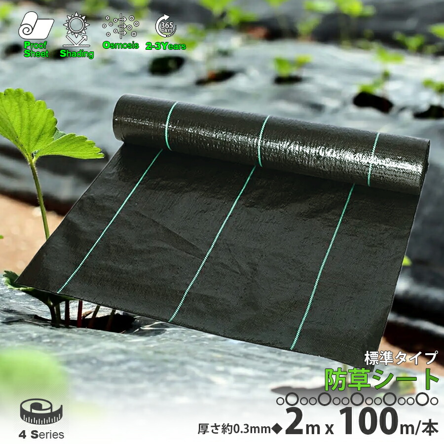 【楽天市場】防草シート 黒 2m×50m 1巻 厚さ0.3mm 農用シート 草よけシート 園芸用品 DIY お庭 除草シート 雑草防止シート  ガーデニング 庭 田んぼ 畑 ハウス ライン入り 雑草防止 雑草抑制 砂利下 人工芝下 雑草 防ぐ 草 農業 家庭菜園 園芸用 工事用 駐車場 LB-