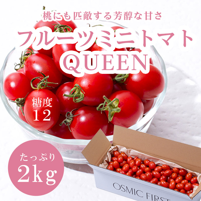 【糖度12】【定期購入】フルーツミニトマト QUEEN 2kg OSMICトマト オスミックファースト オスミックトマト ご家庭向け大容量 定期便