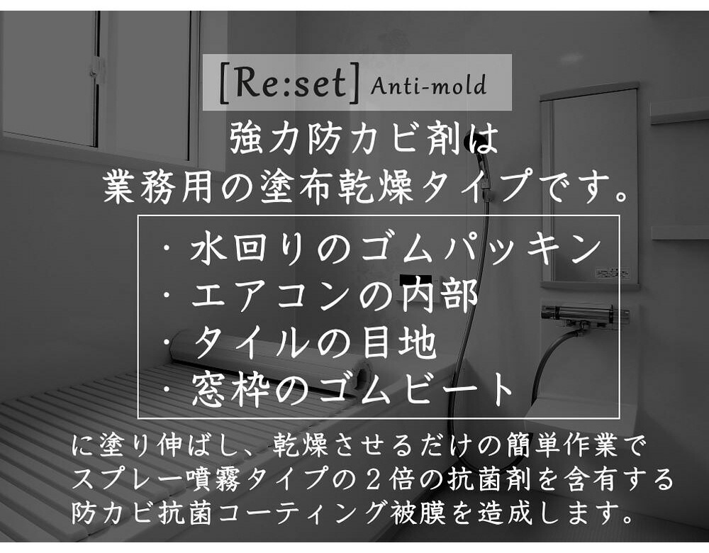 お風呂 業務用 防カビ剤 ゴムパッキン 目地用 防カビスプレーの2倍濃度！おふろ 防カビ コーティング カビ防止 風呂場 浴室 エアコン 窓 キッチン  強力 プロ仕様 100ml Re:set リセット 部屋