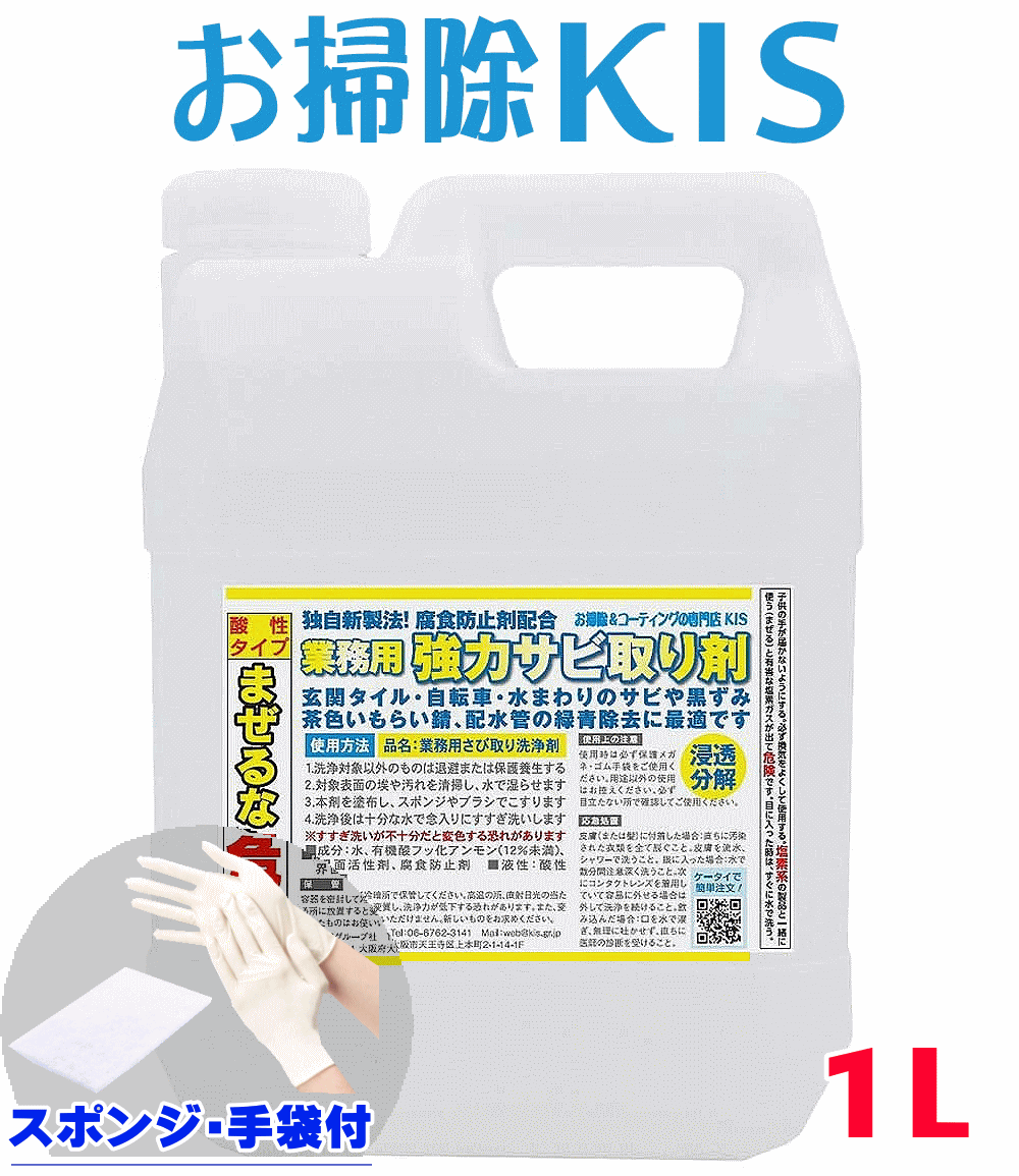 【楽天市場】強力 サビ取り サビ落とし スポンジ＆手袋付セット