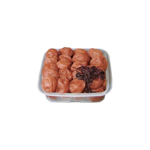 京都丹波産コシヒカリ30kg(新米) 【公式通販】
