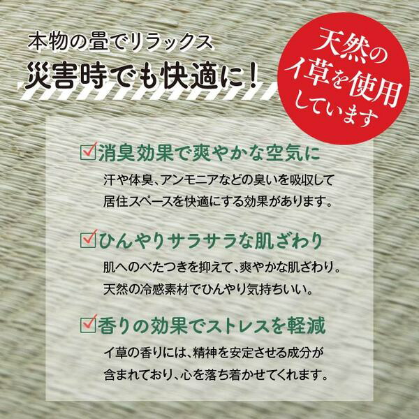 14527円 超人気 専門店 おすすめ 人気防災 避難 備え ユニット 畳 ベッド 段ボール シングル 約100×200cm 5連安い 激安 格安