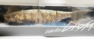 【貨物輸送無料】DRTディーアールティ KLASH GHOST 衝突生きすだま/色合い：#DRT TIGER【中古】 【007】
