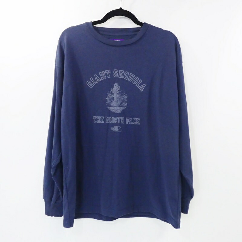 楽天市場】THE NORTH FACE PURPLE LABEL × PALACE 21ss L/S Graphic