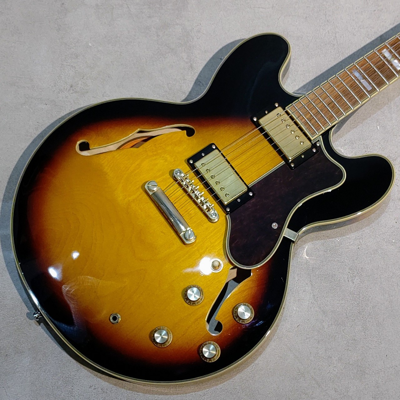 オープニングセール】 Epiphone SHERATON 2 Pro fawe.org