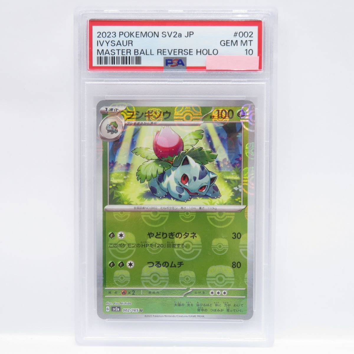 ポケモンカード　ビート ジムプロモ PSA10 #3 ポケモンカード ビート ジムプロモ PSA10 #3