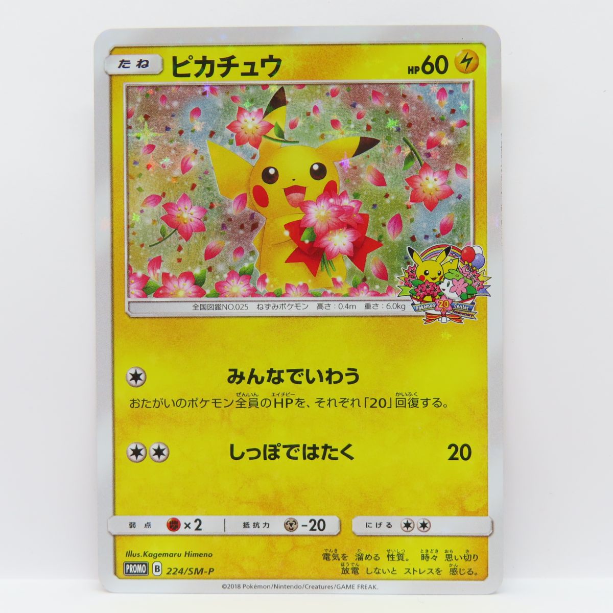 【PSA10】 ポケモンカードゲーム ピカチュウ [SV-P 242] プロモ 状態A-】ピカチュウ P (242/SV-P/) [PROMO] の通販・買取価格