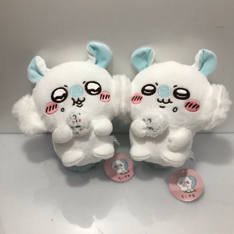 楽天市場】【クーポン配布中】 フンワリと包まれた姿がカワイイ