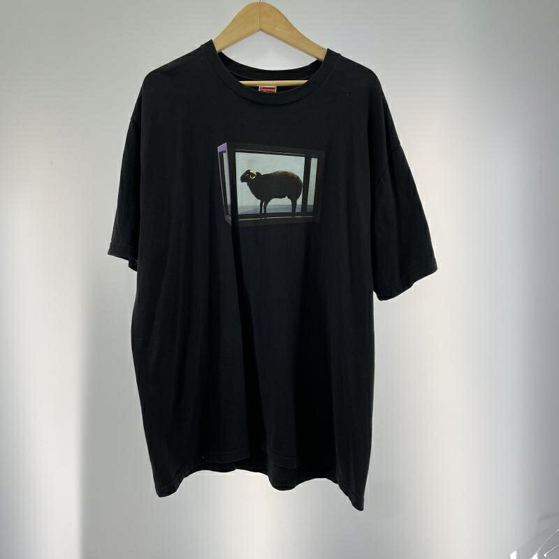 【中古】Supreme 25SS Damien Hirst Tee 大きさXL 黒いこと シュプリーム[19]