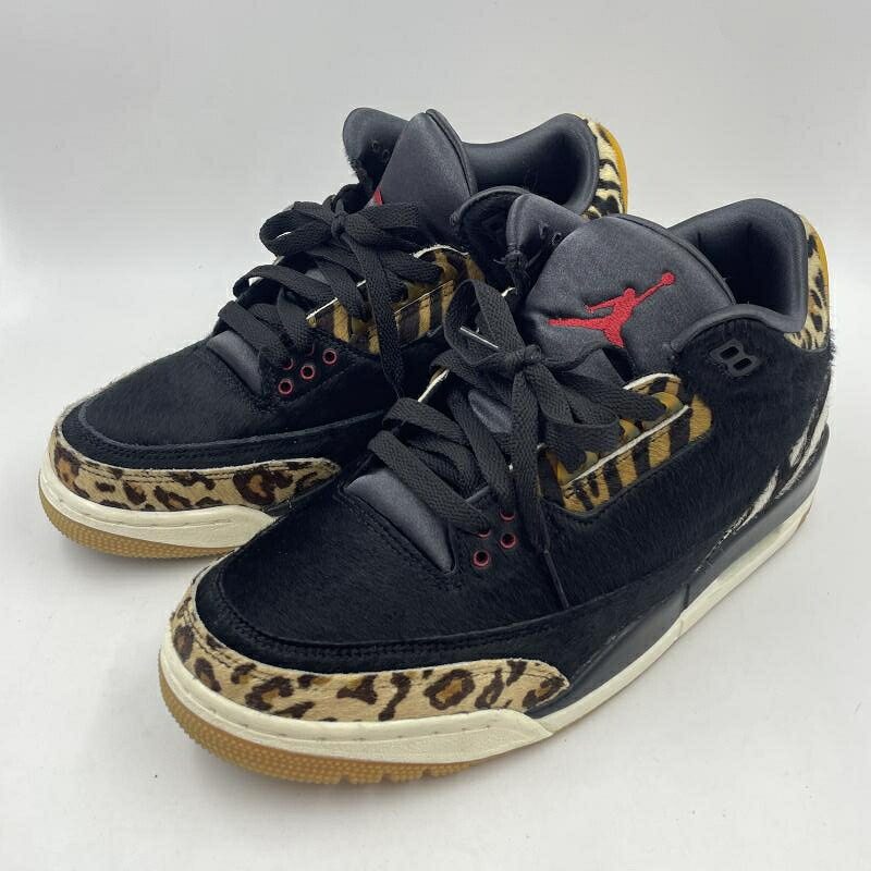 【中古】NIKE AIR JORDAN3 RTERO SE \