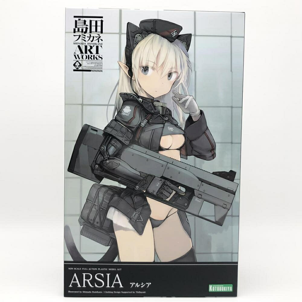 【中古】未組立 コトブキヤ 島田フミカネ ART WORKS アルシア[17]