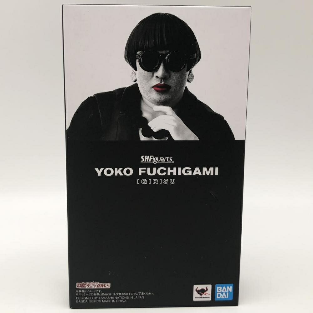 楽天市場】【開封品】萌えよ！アキバ人ブログ フィーたん PVC