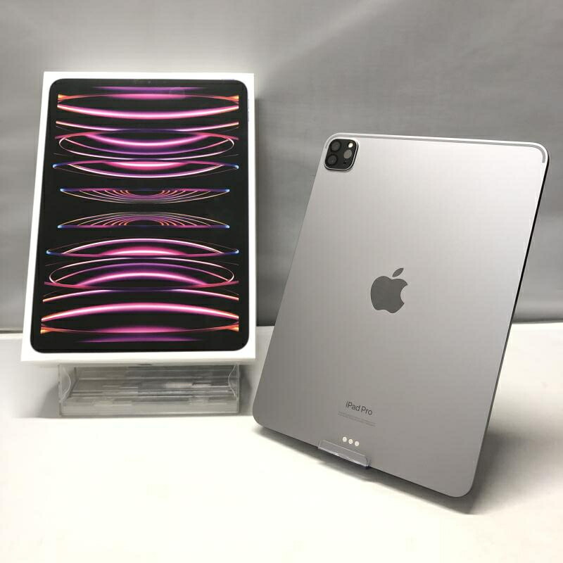 中古】iPad 10.9インチ 第5世代 64GB SIM解 A2198 タブレット