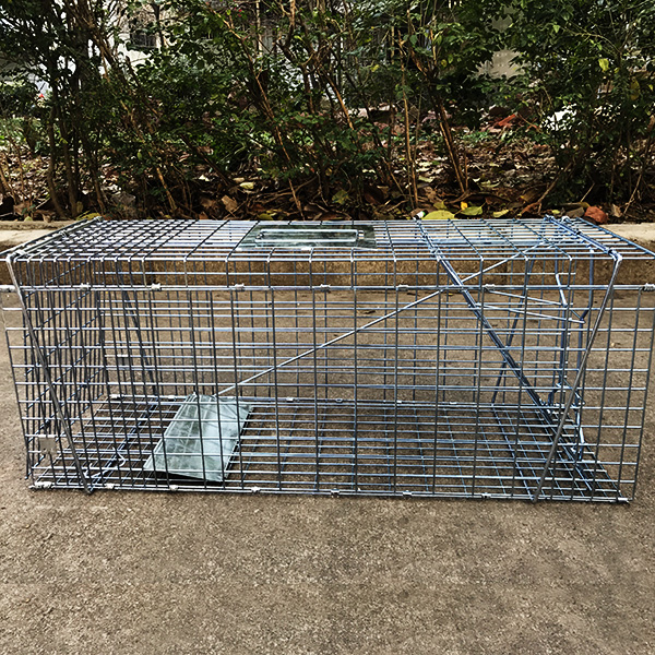 楽天市場 動物 捕獲器 アニマルキャッチャー 害獣 折り畳み 組み立て式 捕獲器 保護器 罠 わな バネ式 アニマルトラップ トラップケージ イタチ いたち 箱罠 はこわな 小動物 キャッチャー 送料無料 お宝プライス トラップゲージtsdwr お宝ワールド