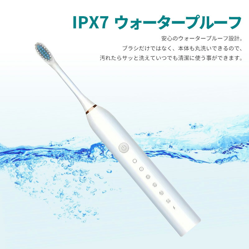 8月31日20時より全品10倍!!／ 電動歯ブラシ 42,000回振動/丸形