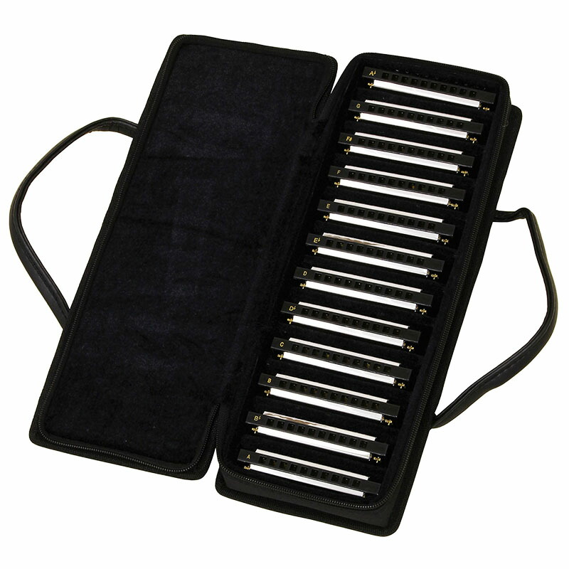 楽天市場】アリア 10ホールズハーモニカ ブルースハープ 12キー