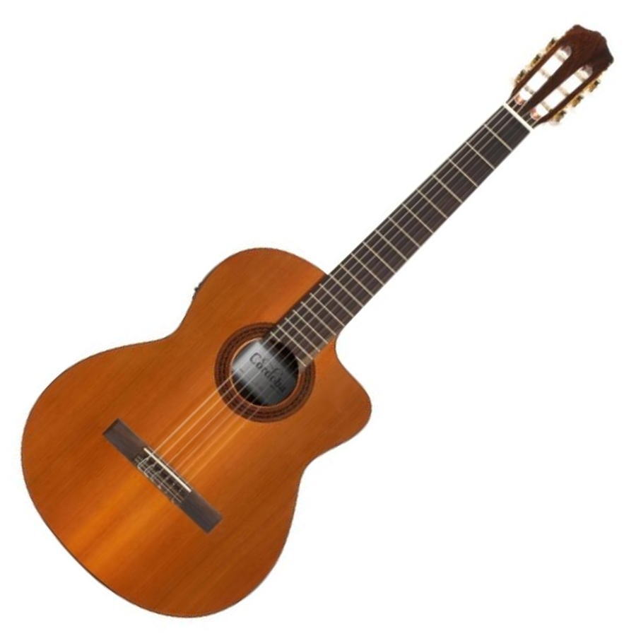 zxcv999様用 コルドバ ガットギター Cordoba C5-CE | feyalegria.org.py