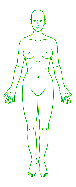 楽天市場 シャチハタ角型印 医療用人体図 全身 女性正面 20 60mm 花のはんこ屋 大谷印舗