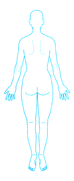 楽天市場 シャチハタ角型印 医療用人体図 全身 女性背面 60mm 花のはんこ屋 大谷印舗
