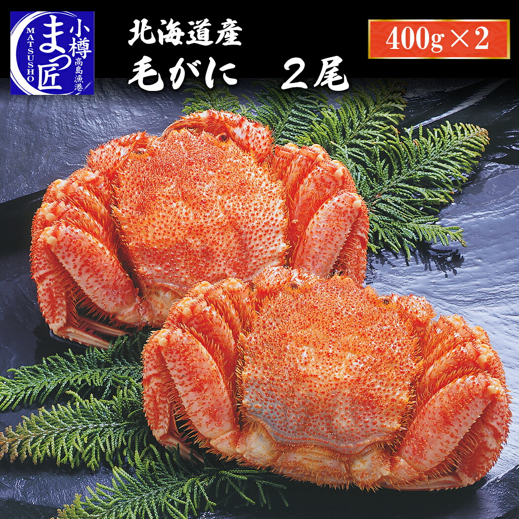 【北海道産 毛蟹 ２尾】北海道産 直送 蟹 毛蟹 ギフト オホーツク海 ボイル カニ かに