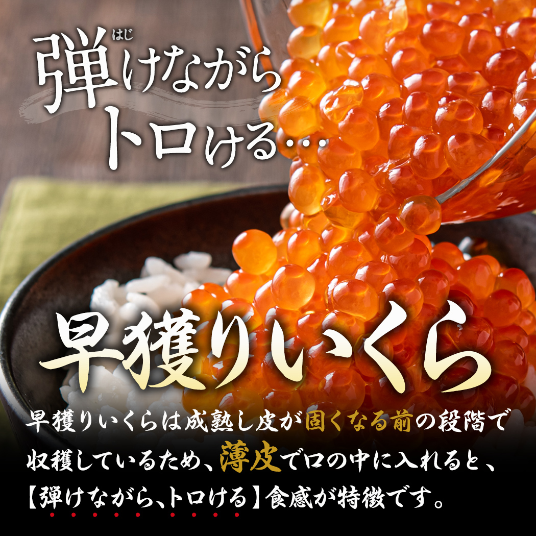 週間売れ筋 いくら 北海道 海産物 海鮮 ギフト 食品 セット 詰め合わせ 贈り物 お取り寄せグルメ 醤油漬け 送料無料 小分け プレゼント  まとめ買い 鮭いくら 魚 コロナ 応援福袋 fucoa.cl