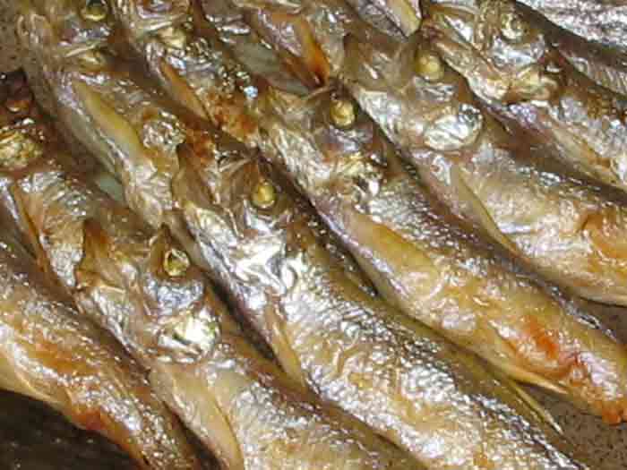 貨物輸送無し料 北海道発明 国産 台本ししゃも 無てん補 天日干し 年中 新物 間クォンティティー 限界 出荷 シシャモ 柳葉鱗 メス3串 30匹 箱入れ 北海道 お贈呈 魚 さかな Lapsonmexico Com