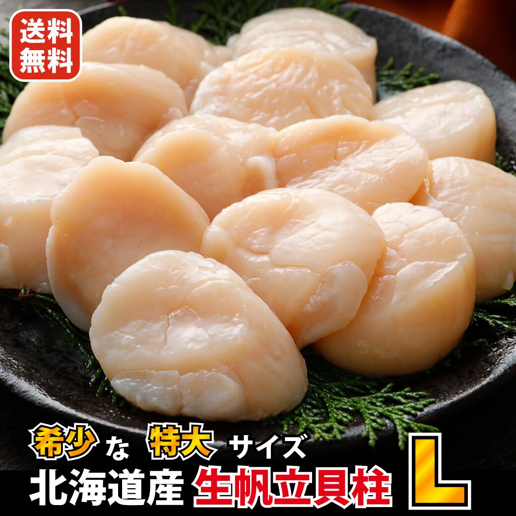 送料無料 新物 北海道 野付産 希少な 特大 Lサイズ （10粒～12粒 入り）ほたて 貝柱 500g ( 生 冷凍 )数量限定のためお急ぎ下さい 帆立 ホタテ 刺身 海鮮 食品 食べ物 バーベキュー お歳暮ギフト 御歳暮 北海道産 お歳暮 ギフト