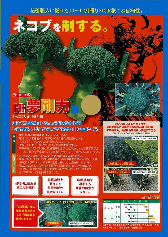 【ブロッコリー】CR夢剛力(NBR-25)〔ナント交配〕