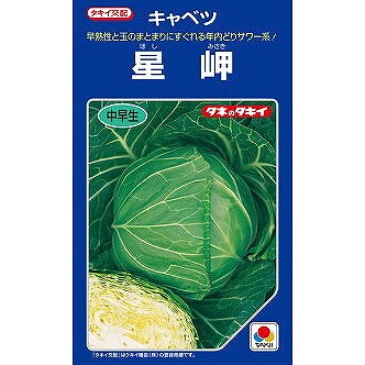 【キャベツ】星岬SP〔タキイ交配〕