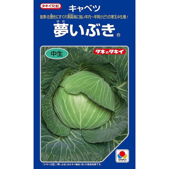 【キャベツ】夢いぶき〔タキイ交配〕