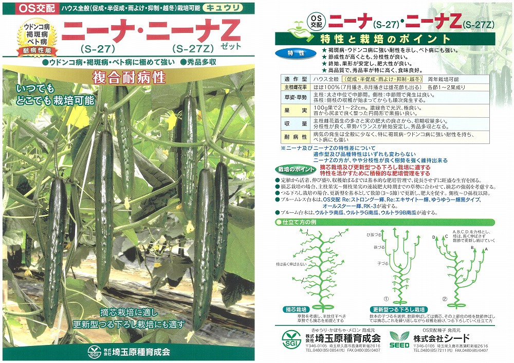 【黄瓜】ニーナZ〔os掛け合わせ〕
