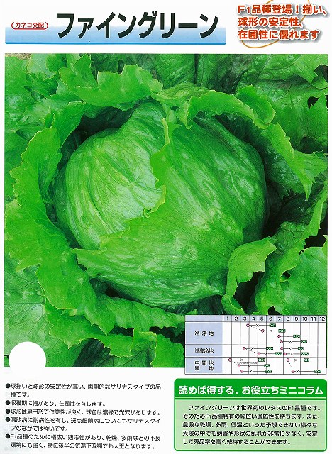 【萵苣】ファイングリーン〔カネコ掛け合わせ〕「書きとどめる亜種」（亜種名：罰金）外国で持出押しとどめる（宣言発表（農水省ＨＰ）引き合い）