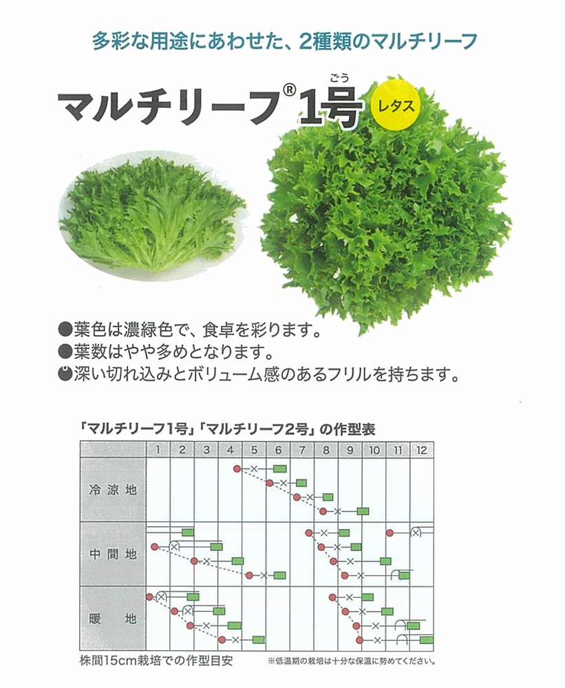 【レタス】マルチリーフ1号〔0063〕|野菜のタネのお買い物 太田のタネ