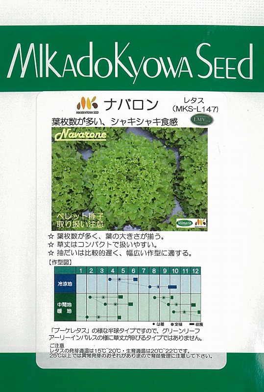【レタス】ナバロン（MKS-L147）〔ヴィルモランみかど〕《登録品種》品種名NAVARONE