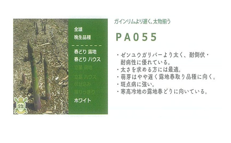 【アスパラガス】PA055〔サナテックシード 0572〕